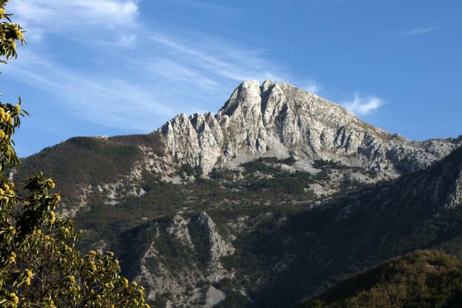 카레지네 Borgo Delle Panie B&B 외부 사진