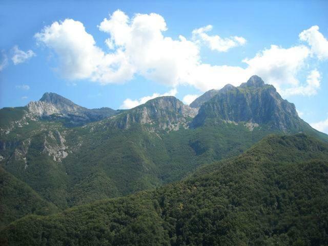 카레지네 Borgo Delle Panie B&B 외부 사진
