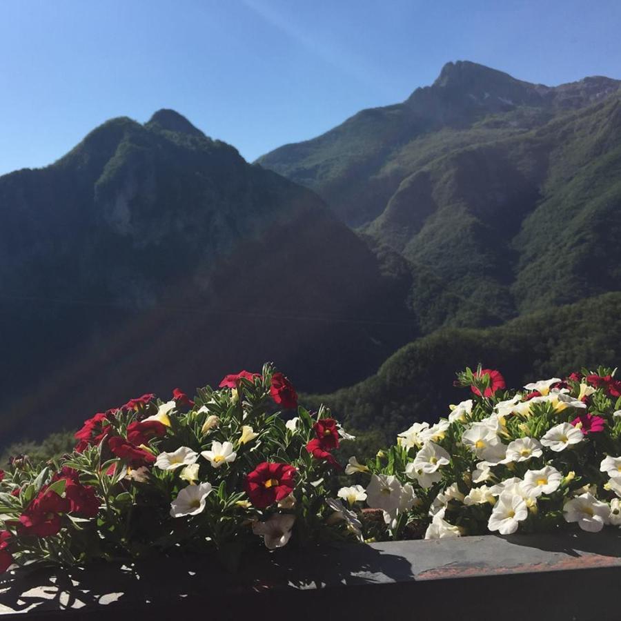 카레지네 Borgo Delle Panie B&B 외부 사진