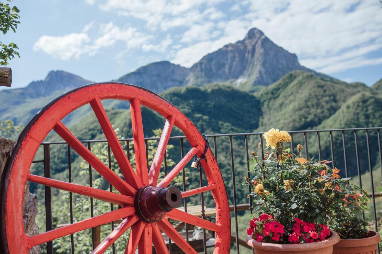 카레지네 Borgo Delle Panie B&B 외부 사진